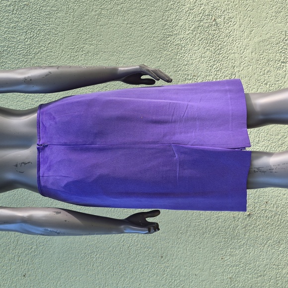 Dressbarn (Travis Ayers) Ladies Vintage Pure Silk Violet (2) PC Skirt Set